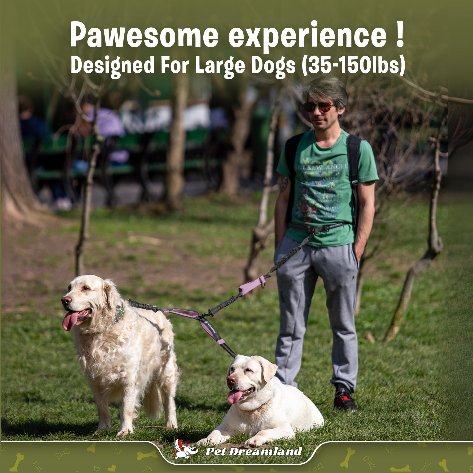Pet Dreamland no-tangle design keeps walks steady for two dogs.