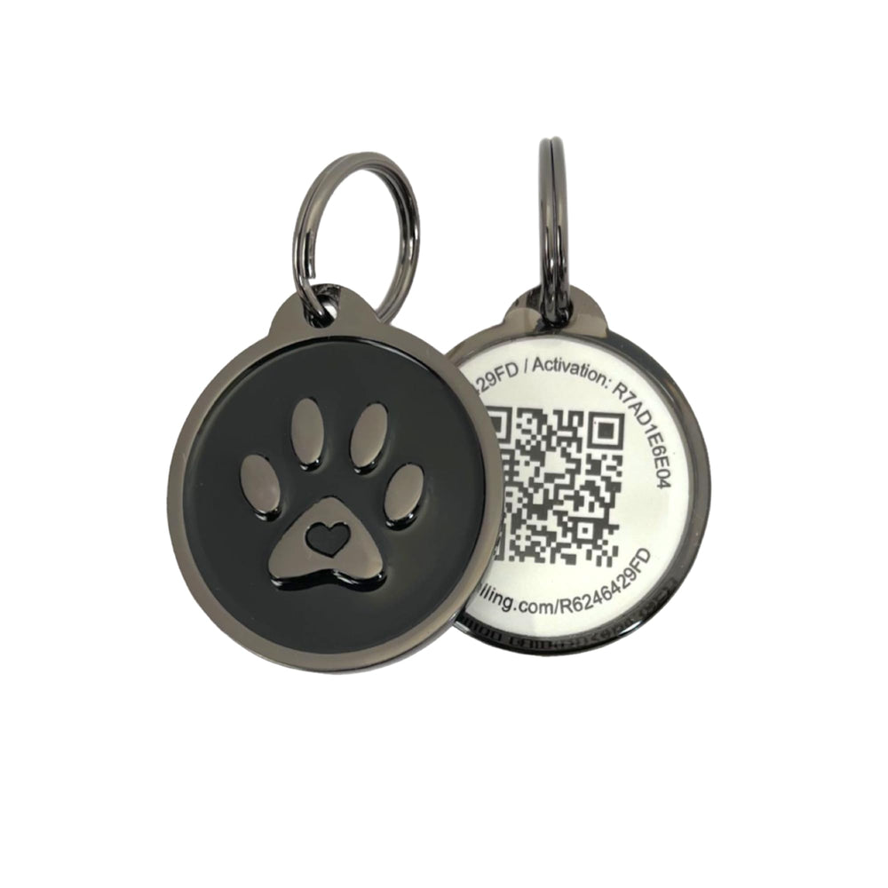Pet Dwelling QR tag clipped to a collar during daily walks