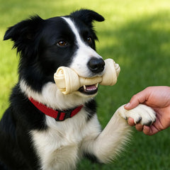 Pet Factory American Beefhide knotted bone chicken flavor; ideal supervised chewing