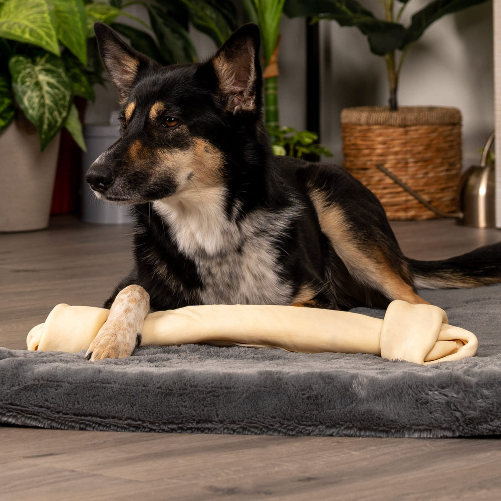 Pet Factory American Beefhide 20-22 inch knotted bone for large dogs.
