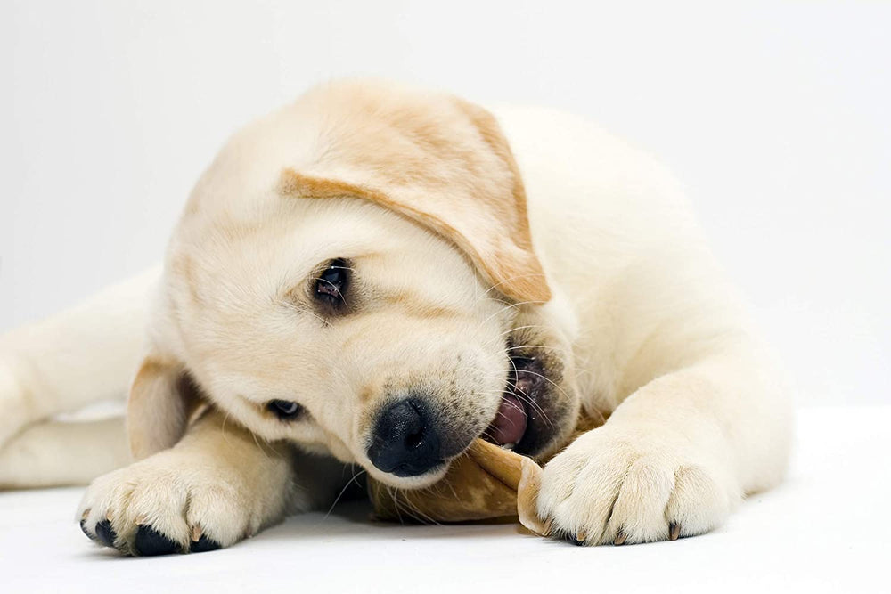 Pet Factory American Beefhide Chips long-lasting chew for dogs with strong chewing