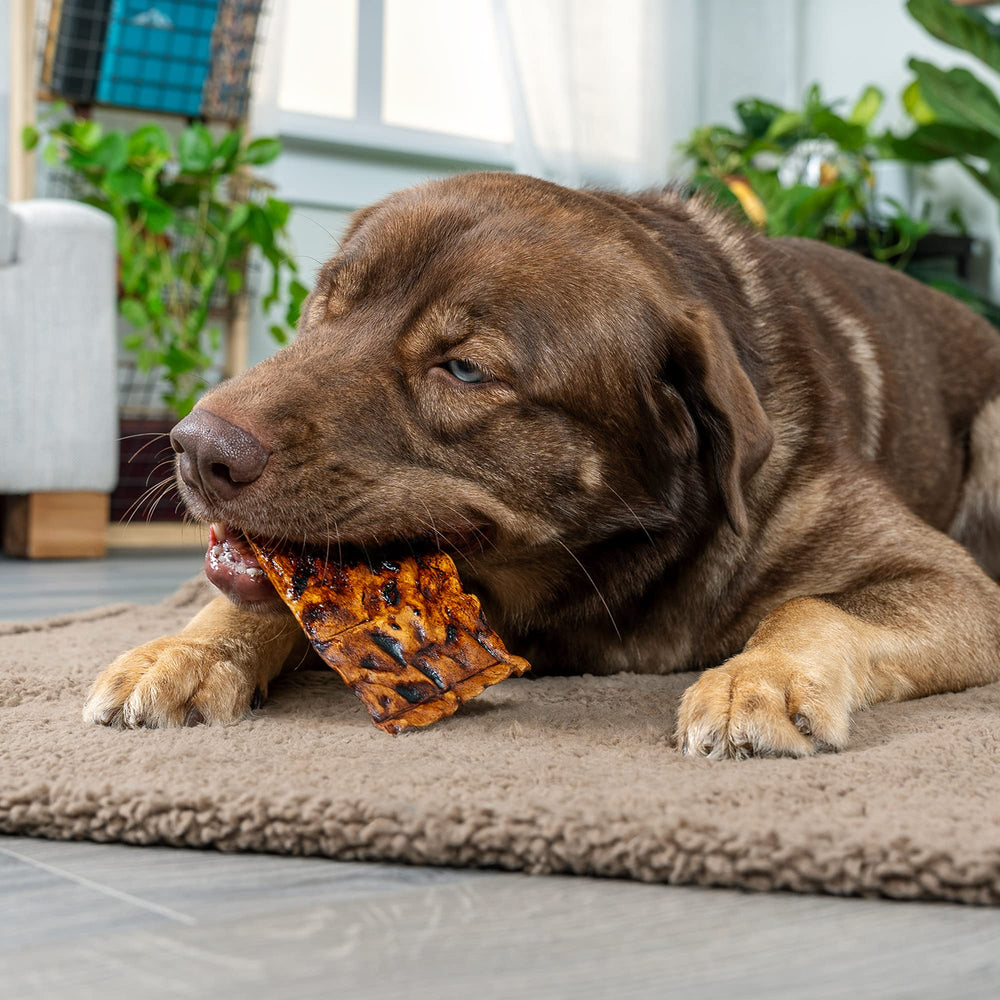 Pet Factory beefhide chips close-up shows thick, durable texture for long-lasting chew.