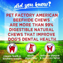Dog chewing Pet Factory mini rolls, satisfying and durable treat.