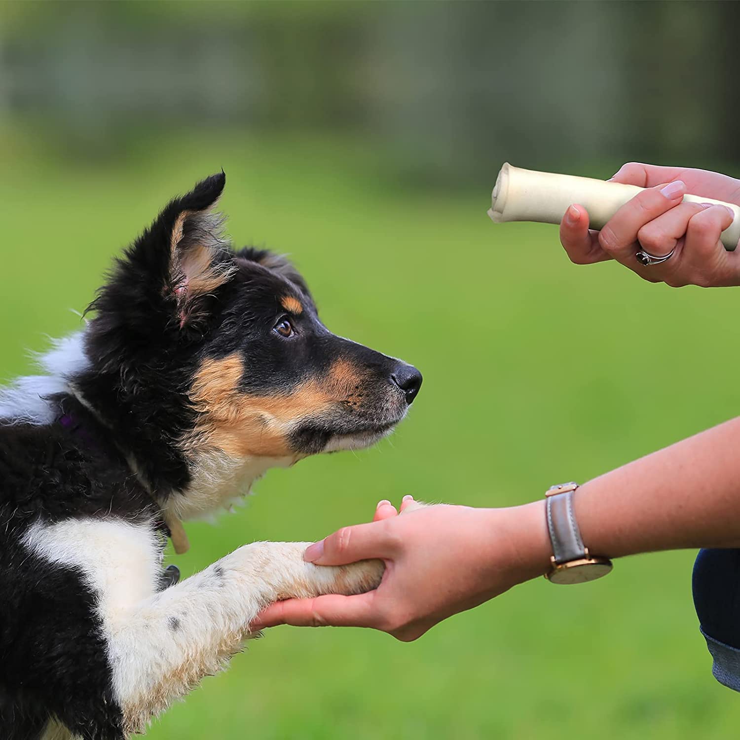 Pet Factory beefhide chews produced in a GFSI-certified facility for quality.