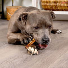 Pet Factory beefhide chip roll close up highlighting durability for chewers