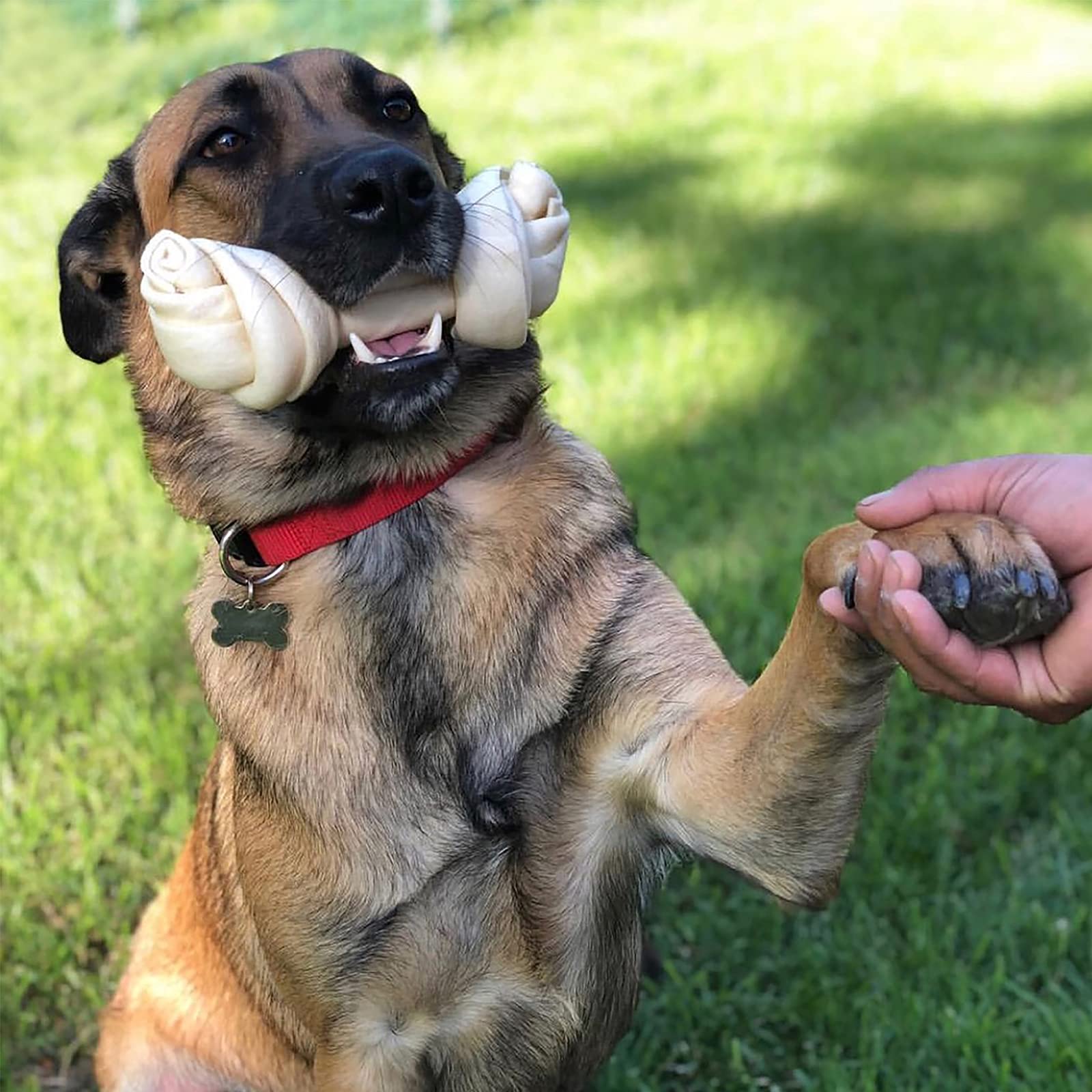 Pet Factory beefhide chew packaging highlighting safety and origin