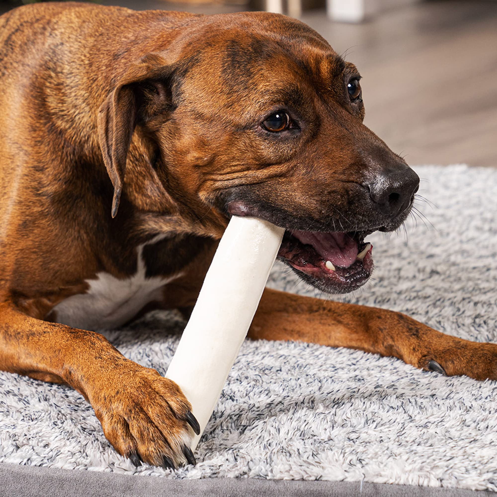 Pet Factory beefhide knotted bone close-up shows thick natural chew.