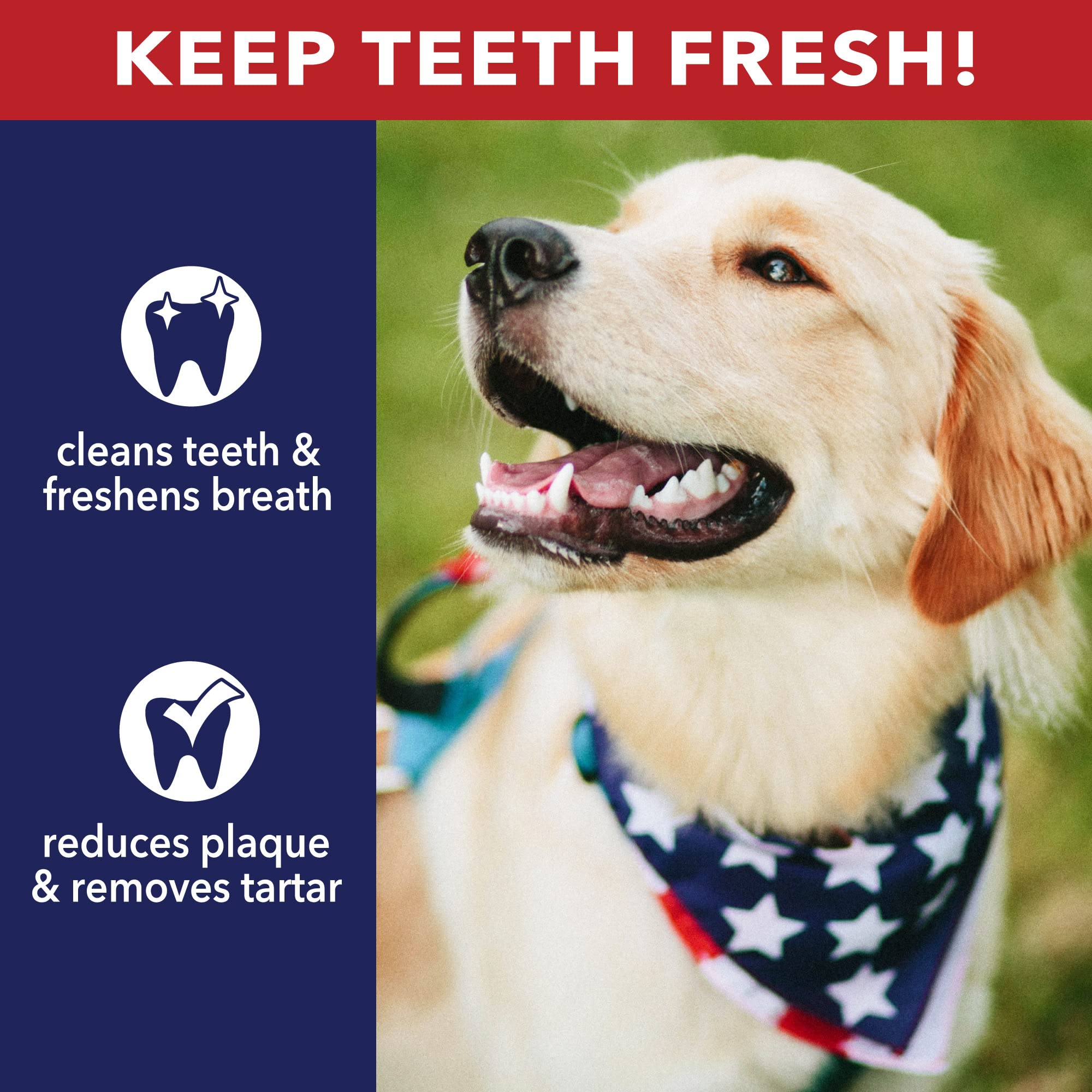 GFSi-certified facility emblem on Pet Factory packaging.
