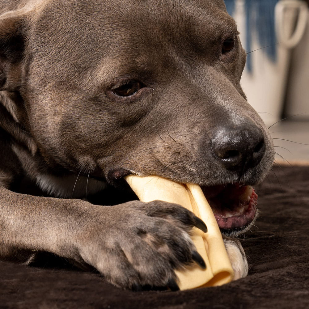 Pet Factory CareChewz Collagen Wraps US-made label highlights safety and quality