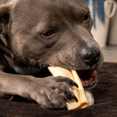 Pet Factory CareChewz Collagen Wraps US-made label highlights safety and quality
