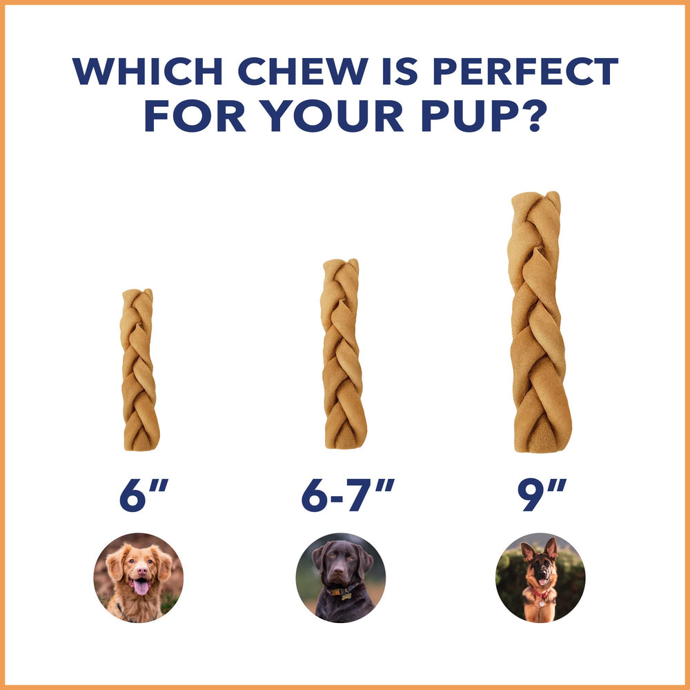 Pet Factory CareChewz dog enjoying chew during play