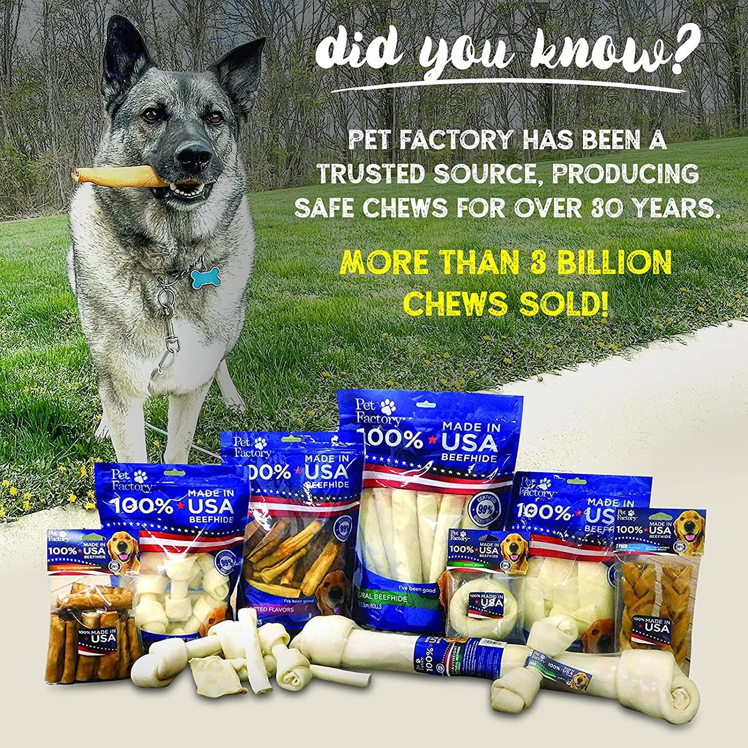 Pet Factory thick chew for dogs demonstrates long lasting chewing appeal