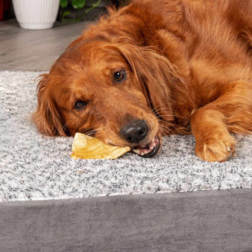 Pet Factory thick chew texture closeup — satisfying, long-lasting gnaw.