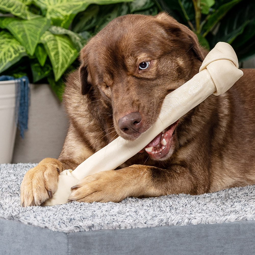 Pet Factory USA-made label on chew packaging emphasizing American-made quality.