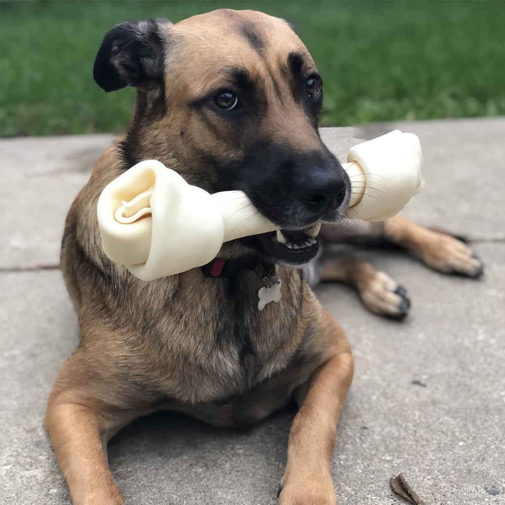 12-inch beefhide dog chew from Pet Factory ideal for large breeds