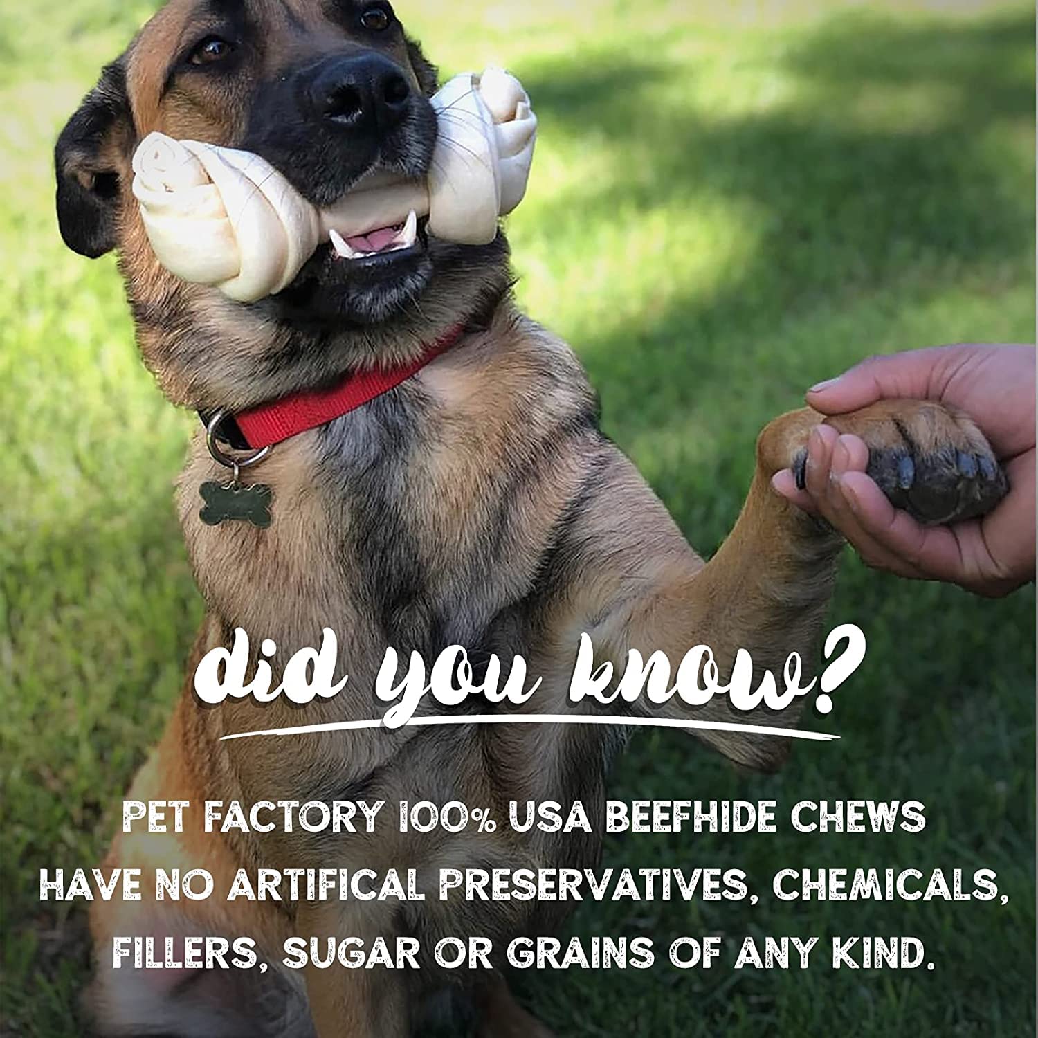 Pet Factory USA-sourced beefhide for a natural chewing outlet.
