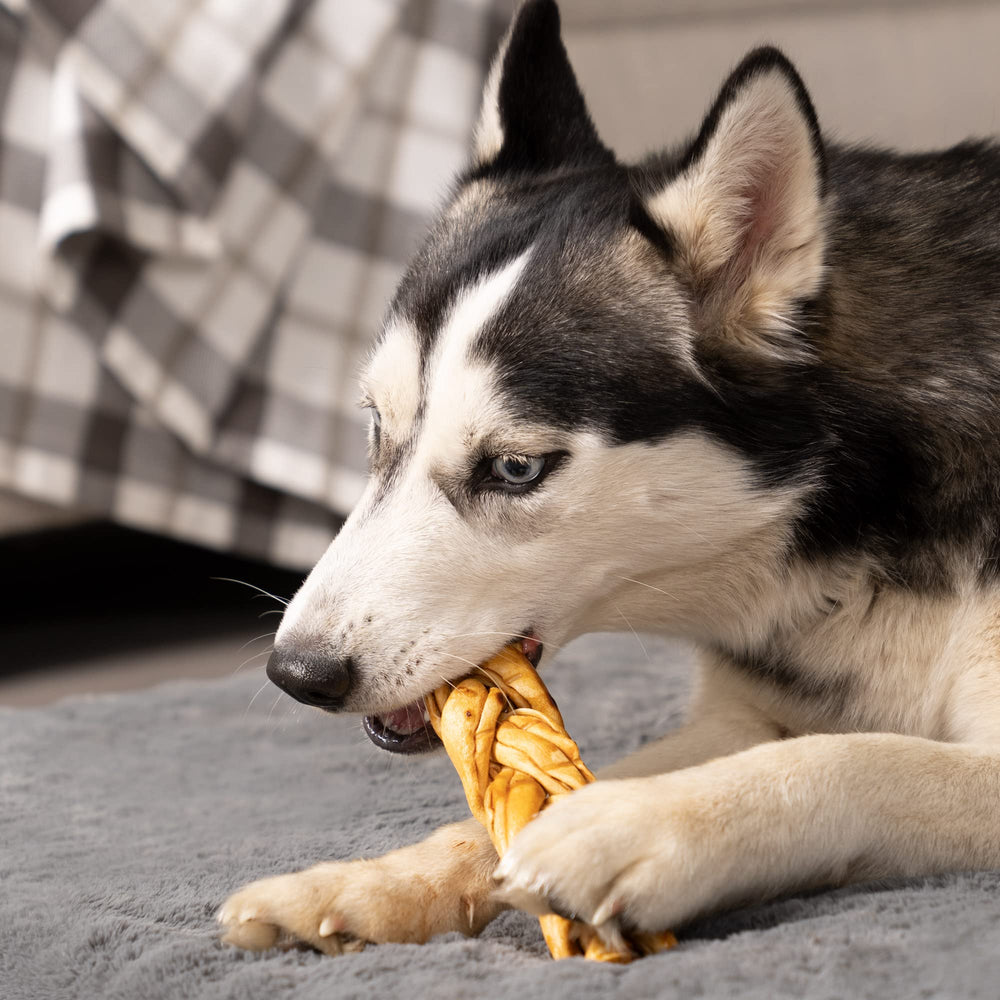 Pet Factory water-soluble coating may stain indoor surfaces.