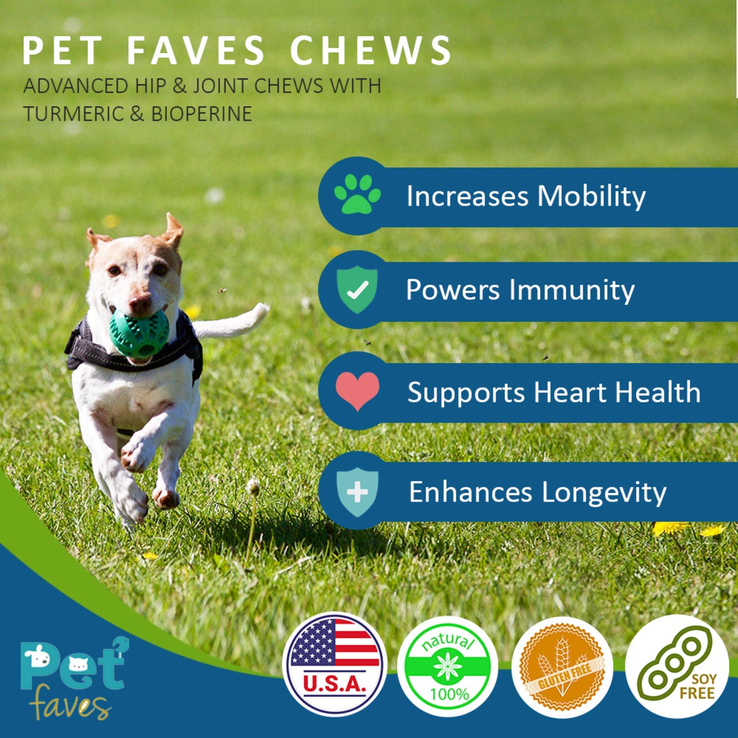 Pet Faves turmeric curcumin dog chews closeup highlights anti-inflammatory potential.