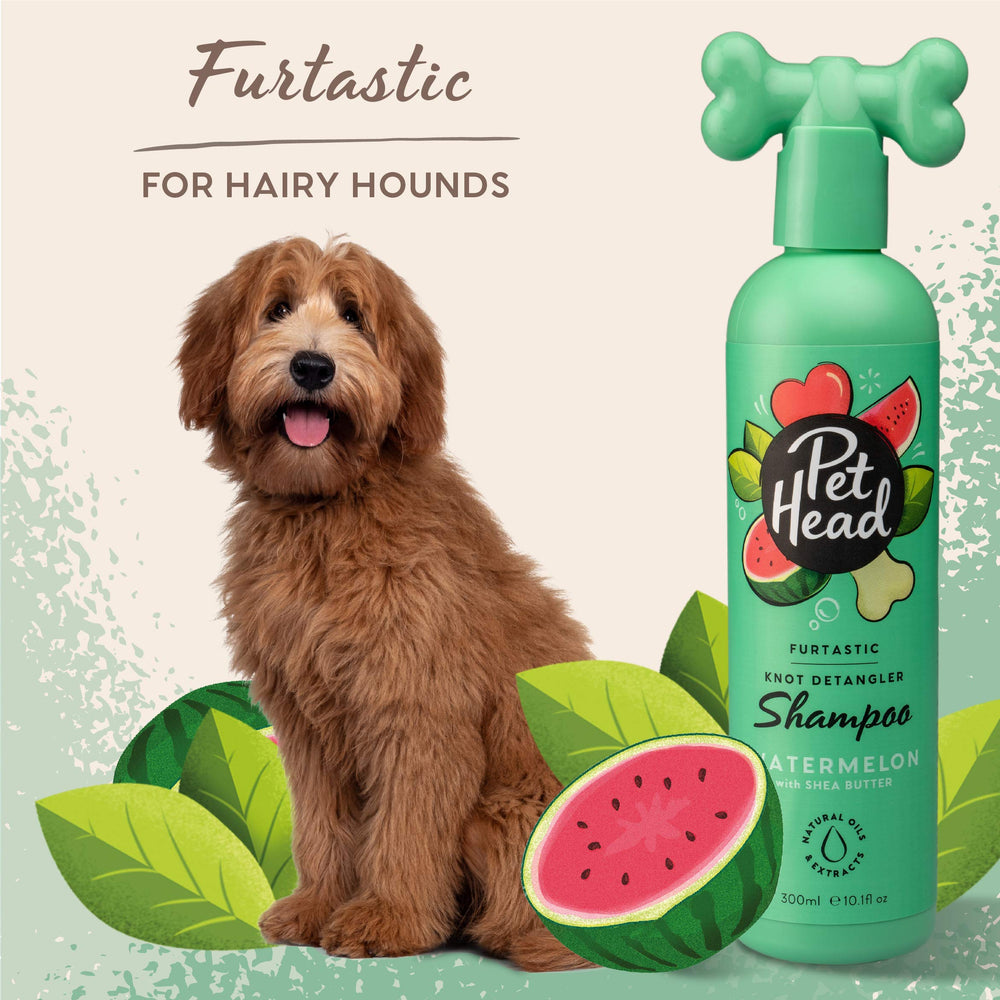 Close-up of Pet Head Furtastic on a fluffy dog.