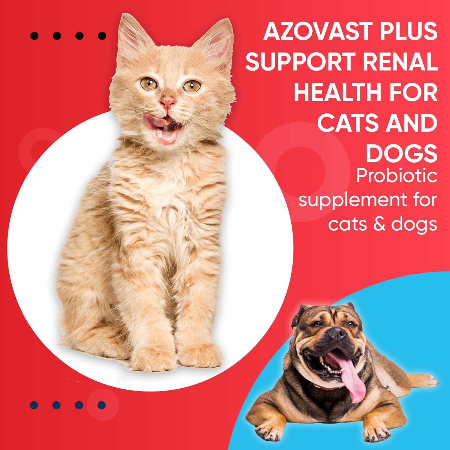 Azovast Plus convenient 60cc paste—no refrigeration required.