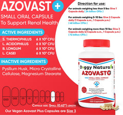 Azovast Plus bottle packaging shown for easy daily kidney care.