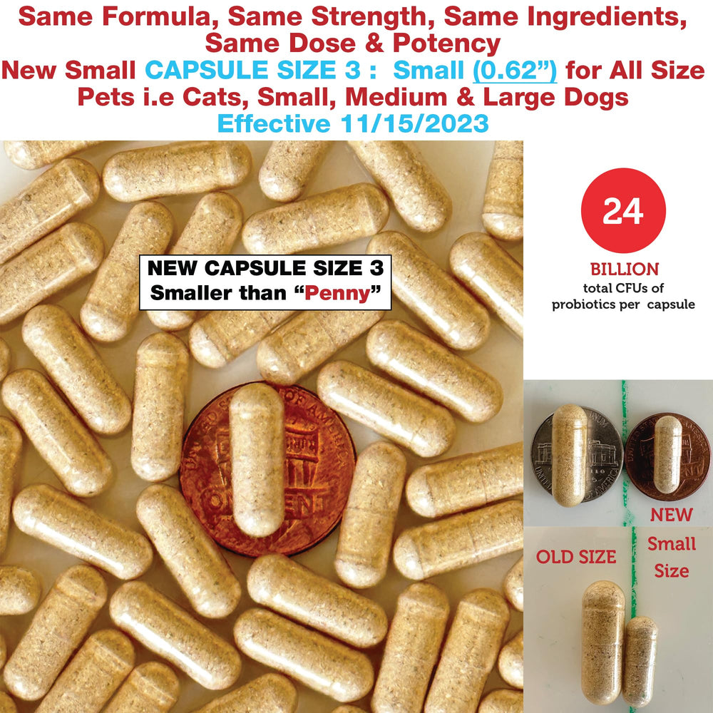 Azovast Plus capsule close-up highlighting 24B CFU probiotic blend.