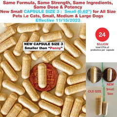 Azovast Plus capsule close-up highlighting 24B CFU probiotic blend.