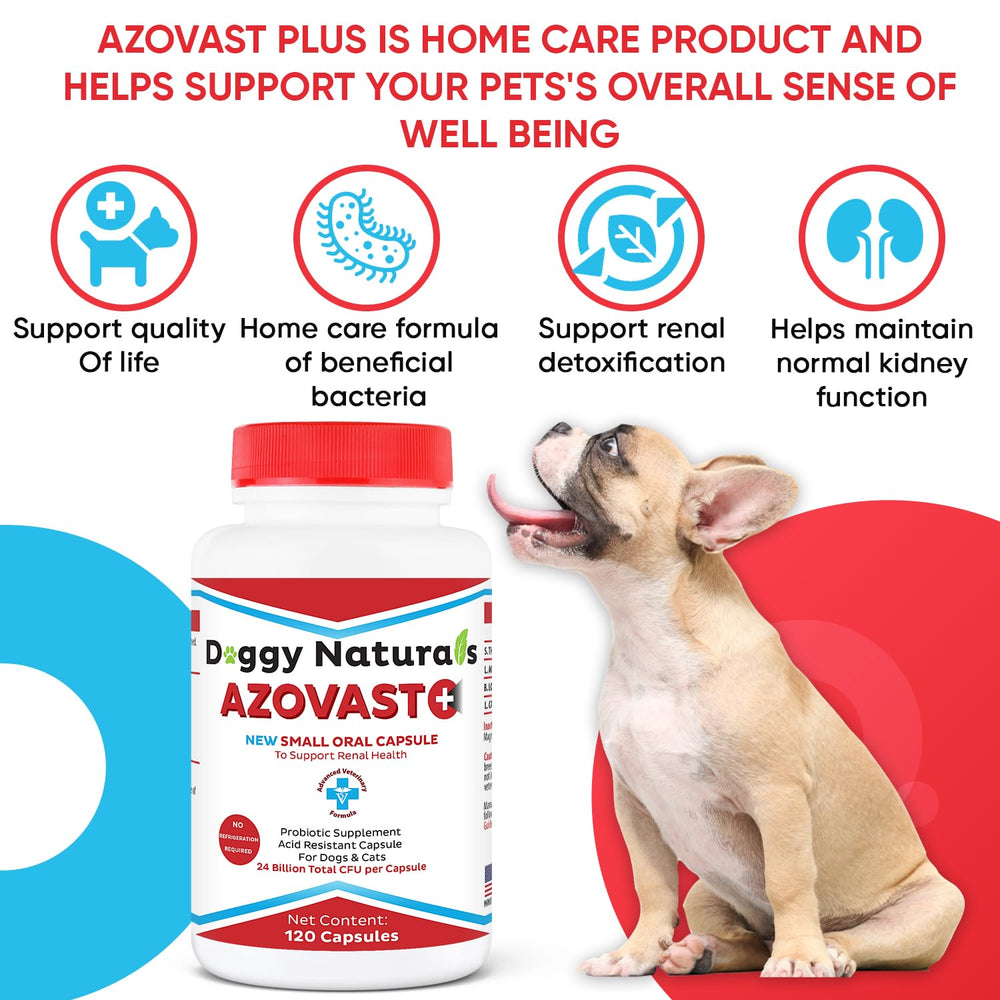 Dogs and cats benefit from Azovast Plus probiotic kidney support.