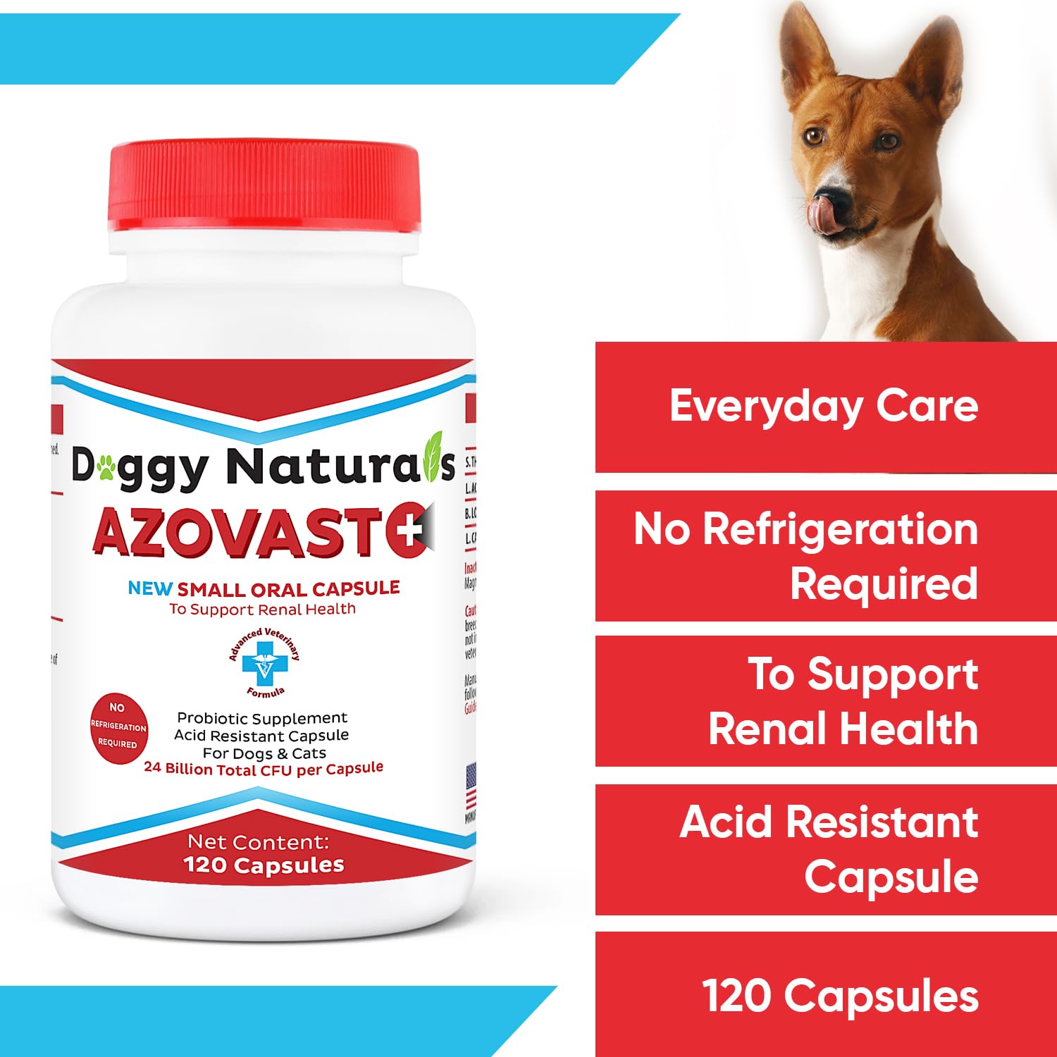 Azovast Plus label with USA-made cgmp quality.