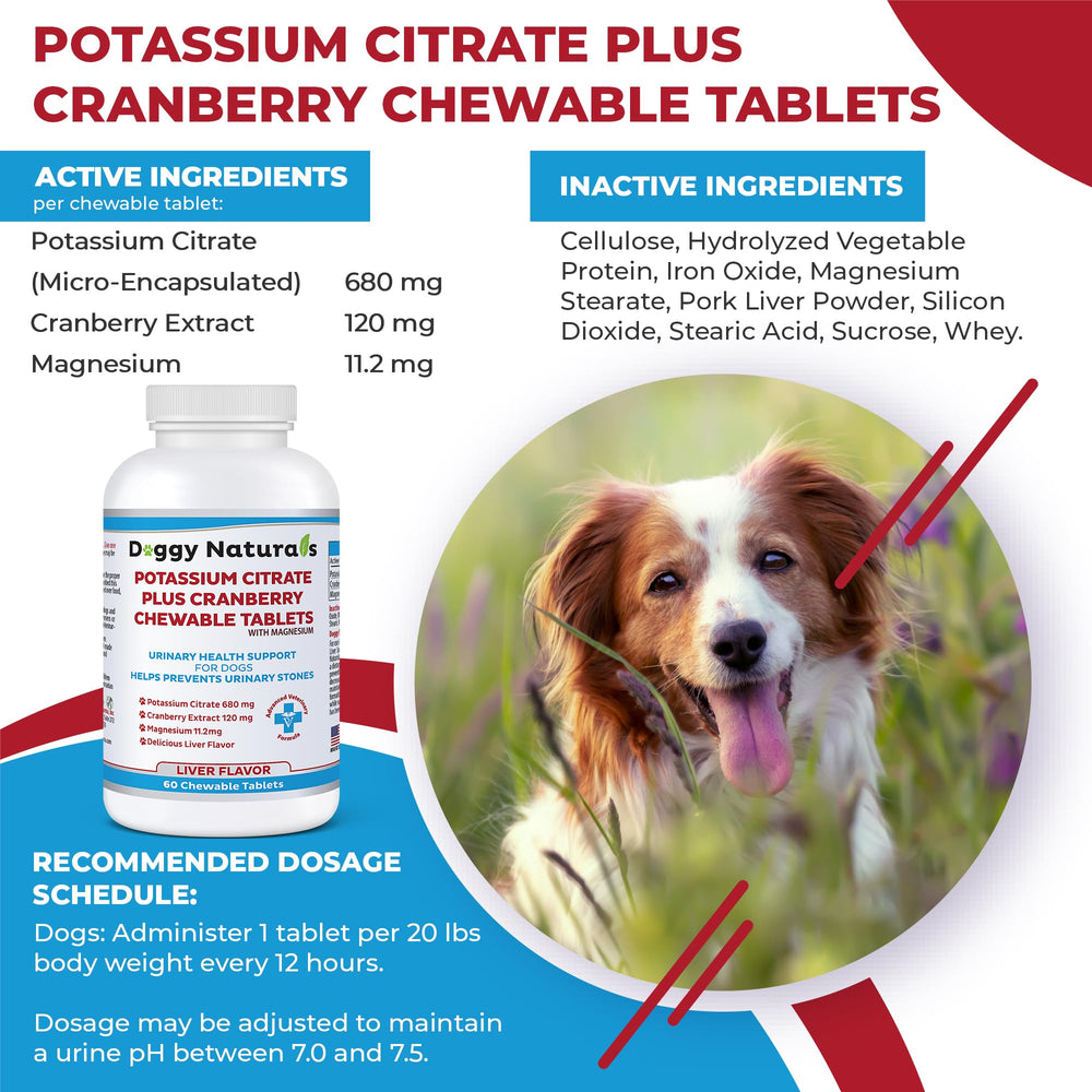 Pet Health Pharma potassium citrate plus cranberry dog tablets close-up showing dosage options