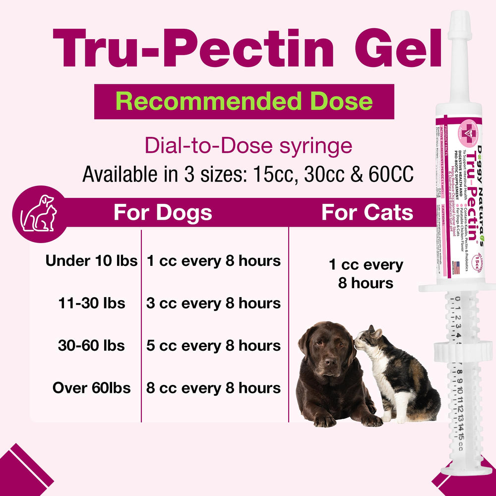 Direct-application view showing paste dosing into pet's mouth