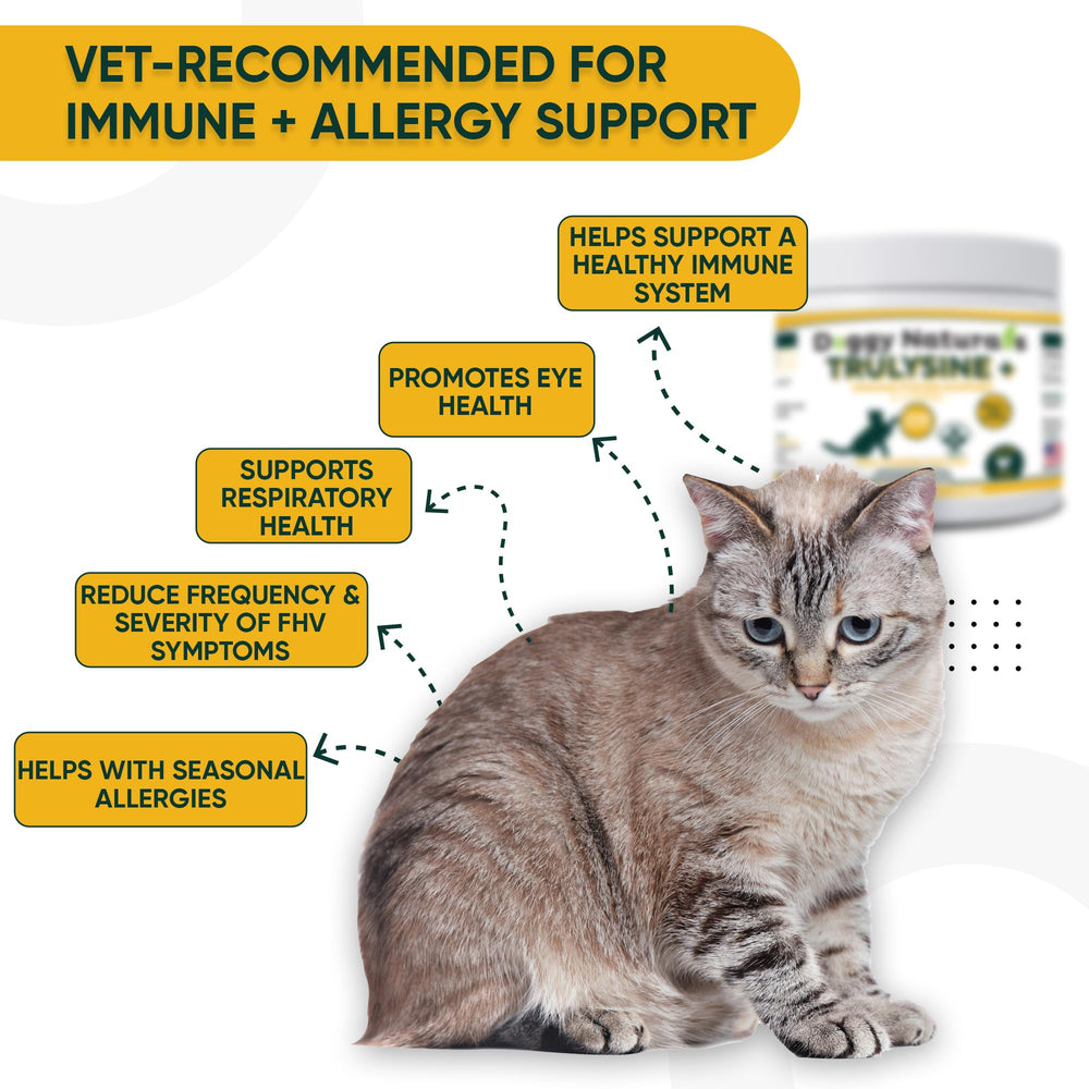 Cat enjoying Trulysine Plus chicken liver flavor.