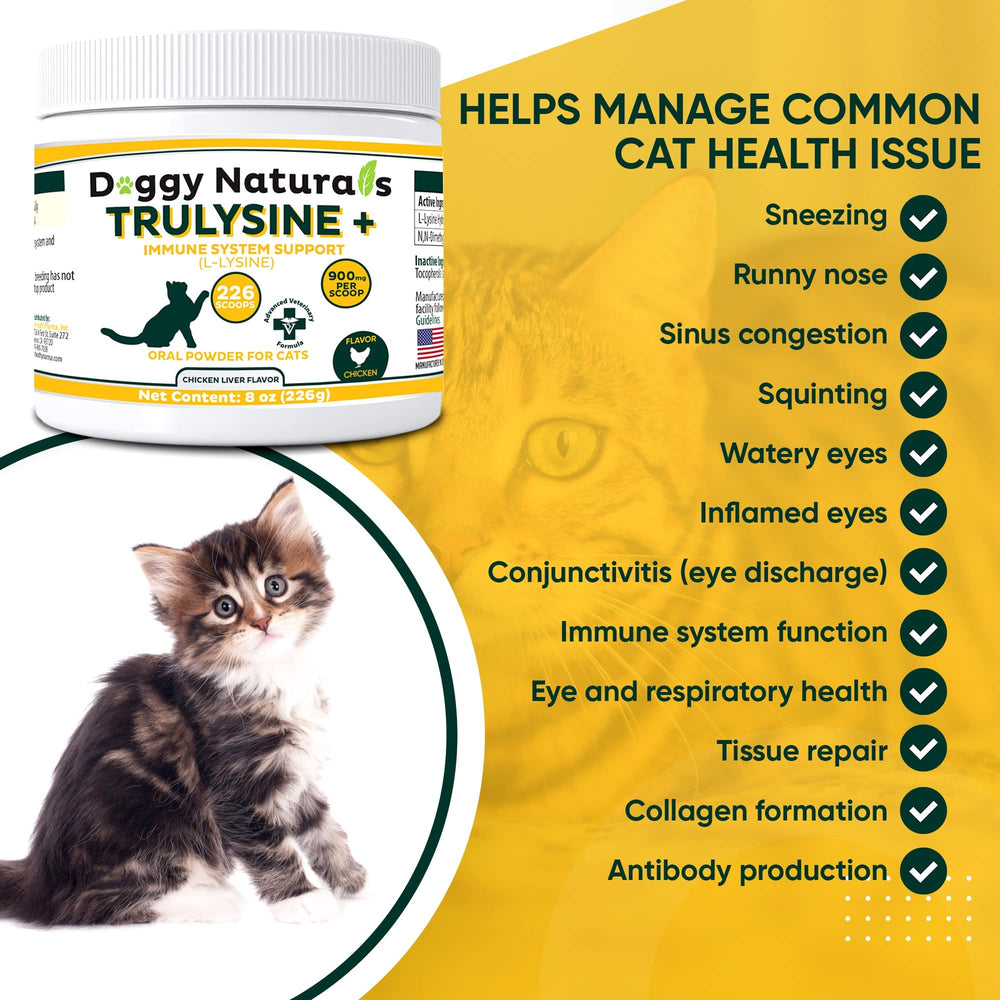 Trulysine Plus ingredients: L-lysine HCl and DMG.
