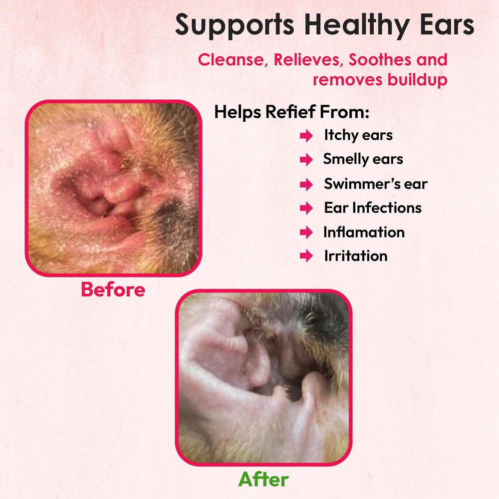 Truseb ear wash applied to a pet ear during home care