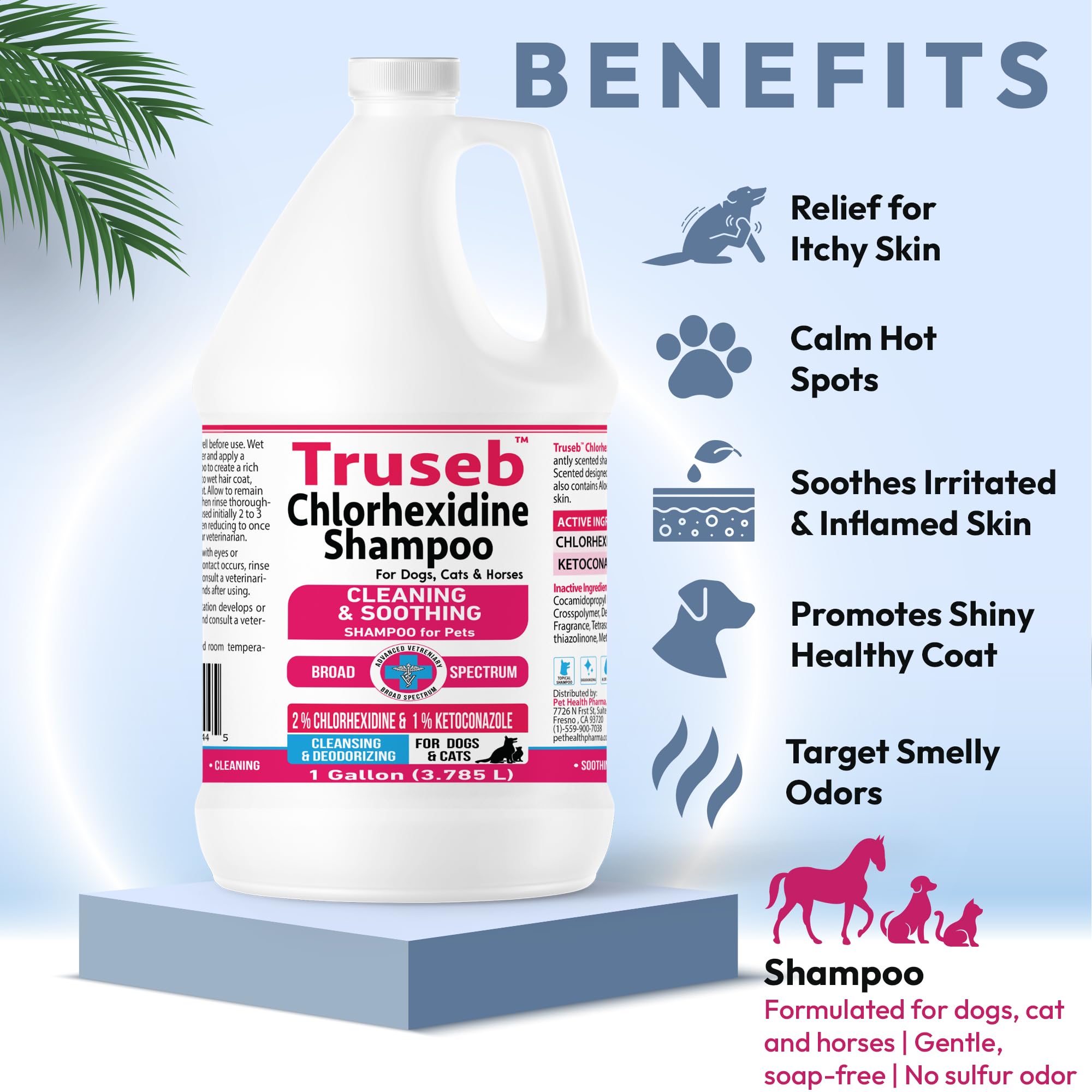Truseb shampoo foam application reveals rich lather during wash