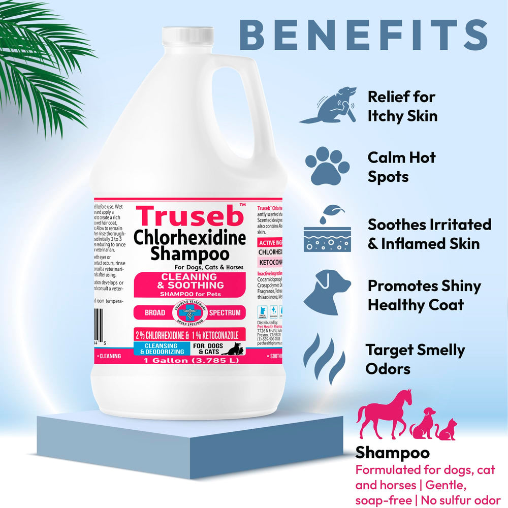 Truseb shampoo foam application reveals rich lather during wash