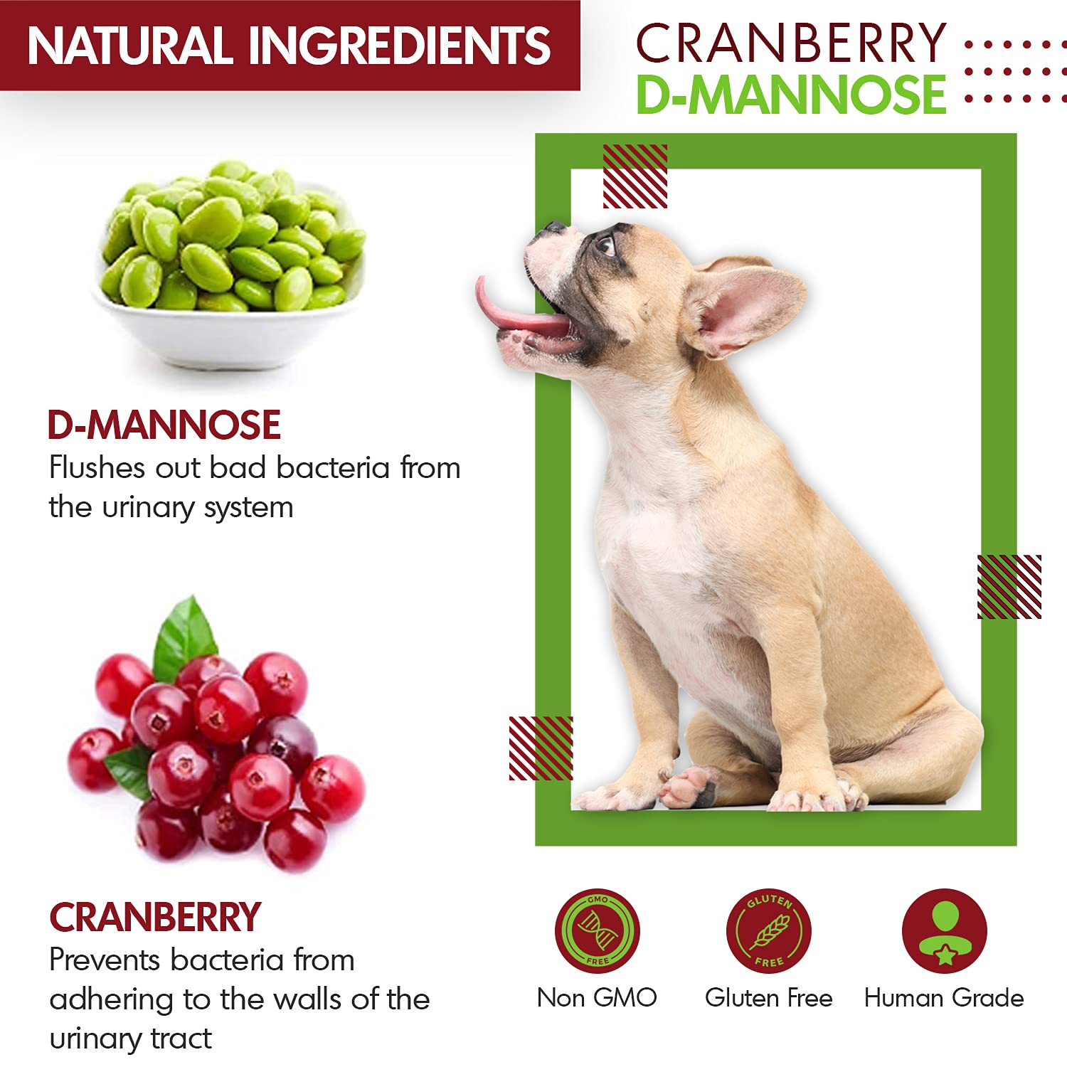 Made-in-USA facility seal on Pet Health Pharma packaging