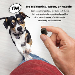 Pet Health Solutions Cranberry D-Mannose dog-use scene for canine routines.