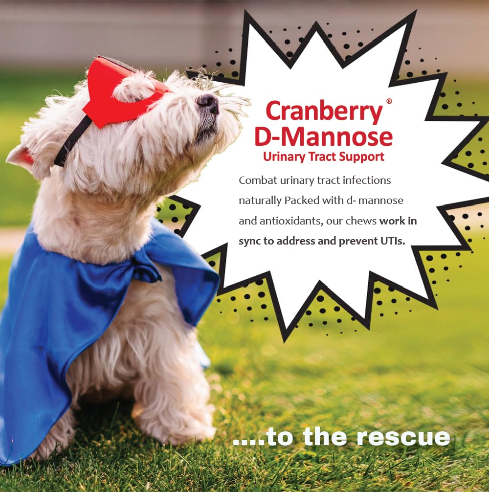 Pet Health Solutions Cranberry D-Mannose packaging-front displaying USA-made quality.