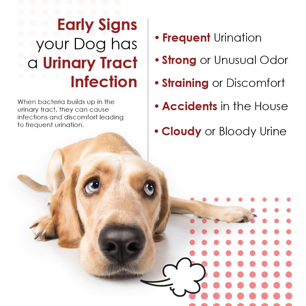 Pet Health Solutions tablets shown with a dog and cat for urinary health support.