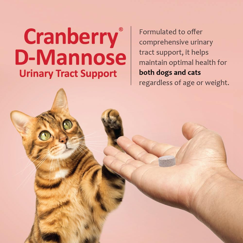 Pet owner handing chewable tablet to dog for daily bladder support with Pet Health Solutions.