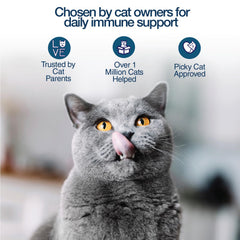 Salmon-flavored Felisyl L-Lysine granules for cats, a tasty supplement.