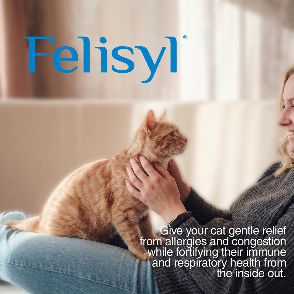 Close-up of salmon-flavored Felisyl granules appealing to cats.