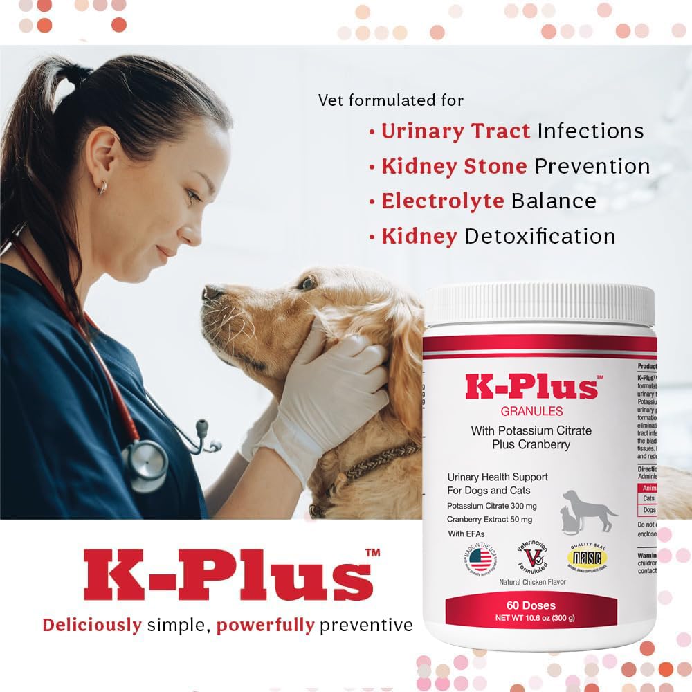 Pet Health Solutions K-Plus kidney-support portion demonstrates supplement as part of routine