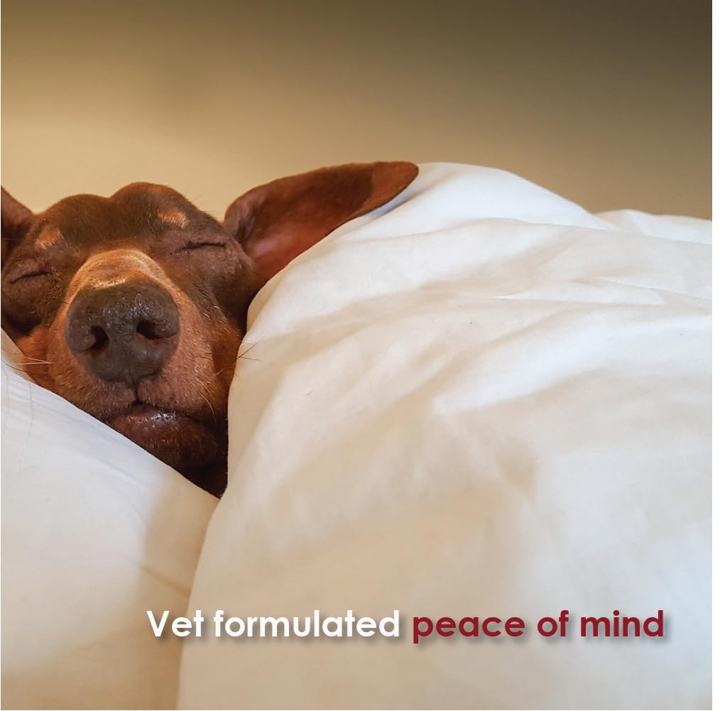 Pet Health Solutions TranQuil-Tabs 60-chewables-pack shows a full bottle for ongoing relief.