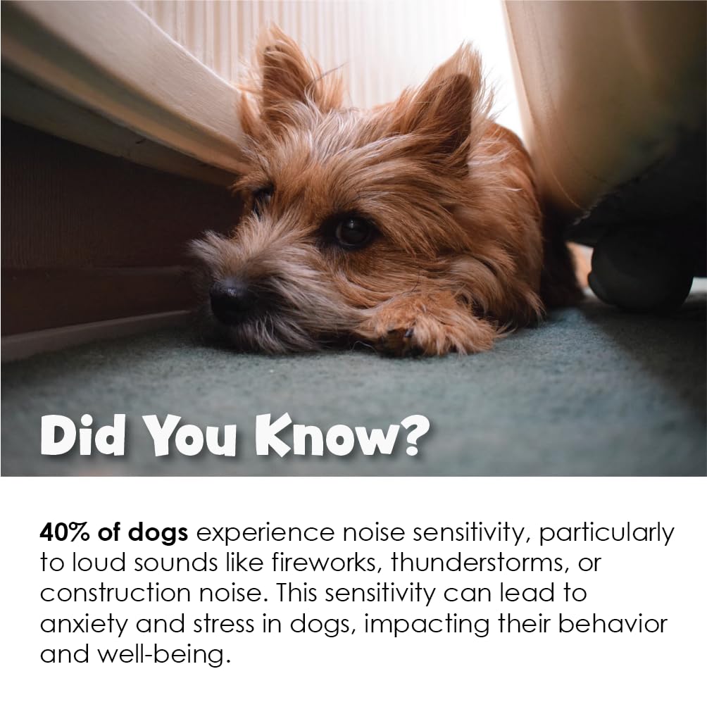 Pet Health Solutions TranQuil-Tabs separation-anxiety support for reunions and travel.