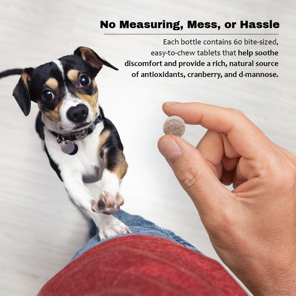 Vitamin C icon and tablet indicating immune-supporting nutrients in Pet Health Solutions.