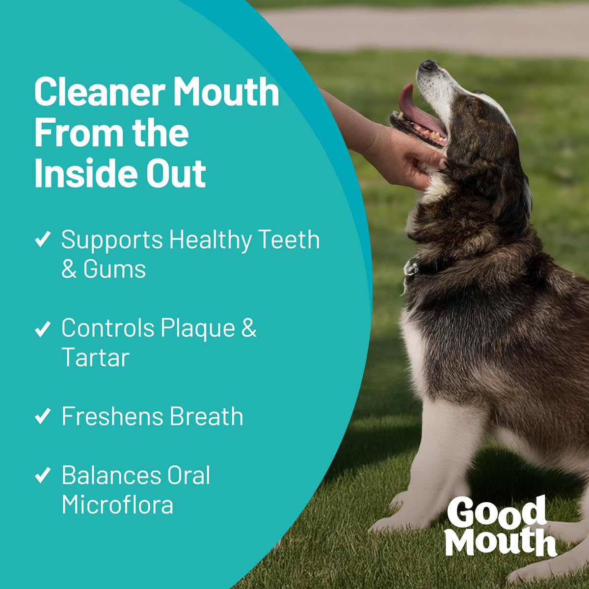 Pet HealthWorks Good Mouth dental chew close-up showing texture for easy administration