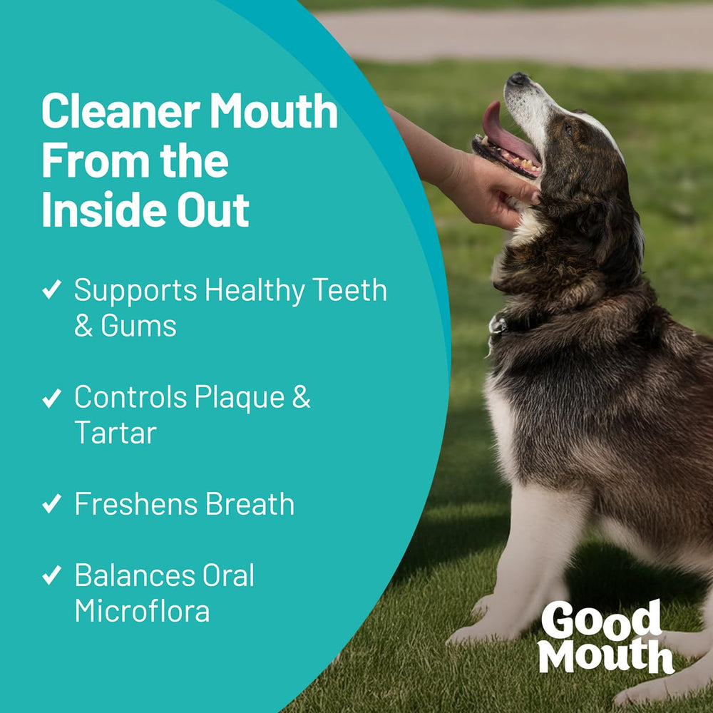 Pet HealthWorks Good Mouth dental chew close-up showing texture for easy administration