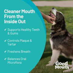 Pet HealthWorks Good Mouth dental chew close-up showing texture for easy administration